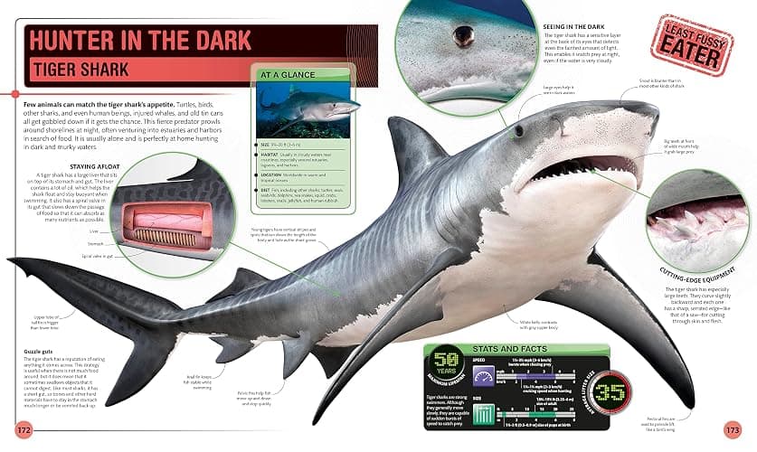 Super Shark Encyclopedia: And Other Creatures of the Deep (DK Super Nature Encyclopedias) thumbnail 5