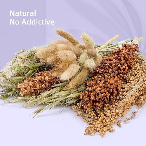 Niteangel Natural & Soft Hamster Bedding for Syrian Dwarf Hamsters Gerbils Mice Degus Bunny or Other Small-Sized Pet (Natural Poem Version) thumbnail 5