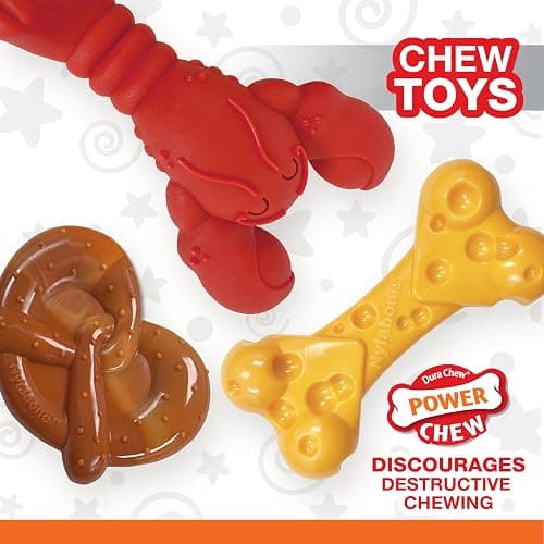 Nylabone Power Chew Toy Bundle, Cute Dog Toys for Aggressive Chewers, Filet Mignon, Cheese, and Bacon Flavors, Small Dogs - Up to 25 lbs, 3 Pack thumbnail 3