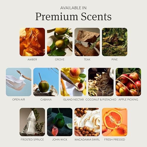 Drift Car Air Freshener - Stone Air Freshener Car Odor Eliminator - Long Lasting Scent - Auto Accessories - Metal Clip - Essential Oils - Clean Ingredients - Cabana Scent Starter Kit thumbnail 4
