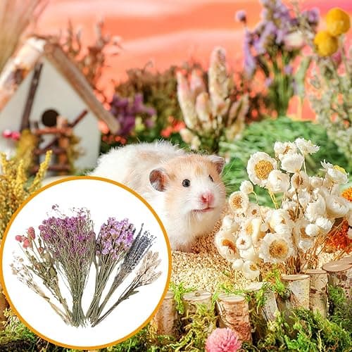 Flower Hamster Bedding, Natural Ear Of Grain Flowers Hamster Sprays Forage, Dried Flower Small Animal Bedding, House Cag & Habitat Decor For Hamsters Gerbils Rabbits(C) thumbnail 3