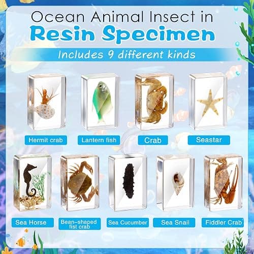 Rotatingpals 9 Pcs Marine Ocean Life Specimen Set Term Begins for Gifts Sea Animal Insect in Resin Collection Paperweights with Magnifier Animal Specimen thumbnail 2