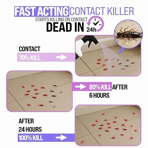 Granny Dee’s Earwig & Silverfish Killer Indoor & Outdoor (Made in USA) - Kills Pests in 24 Hrs - Plant-Based Bug Killer with Peppermint Oil - Safe for Pets & Kids - Targets Earwigs, Ants, Insect Flies thumbnail 3