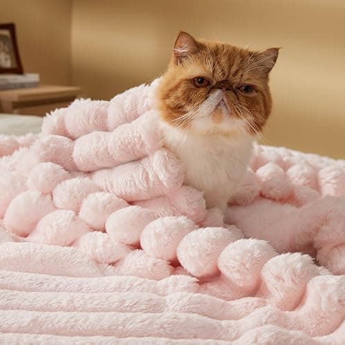 Bedsure Pink Throw Blanket for Couch - Super GentleSoft Cozy Blankets for Women, Cute Small Fleece Throws for Girls,50x60 Inches, Wider Striped Design，Pink Christmas Decor thumbnail 4