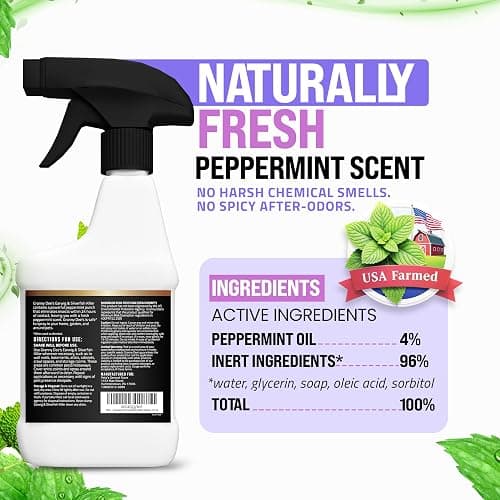Granny Dee’s Earwig & Silverfish Killer Indoor & Outdoor (Made in USA) - Kills Pests in 24 Hrs - Plant-Based Bug Killer with Peppermint Oil - Safe for Pets & Kids - Targets Earwigs, Ants, Insect Flies thumbnail 10