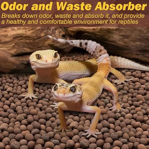 ZeeDix Reptile Substrate Leca Balls - 10LBS Organic Expanded Clay Pebbles, Bioactive Terrarium Bedding for Reptile Tank Habitat Accessories, Ideal for Bearded Dragon, Tortoise, Gecko, Snake & Frog thumbnail 5