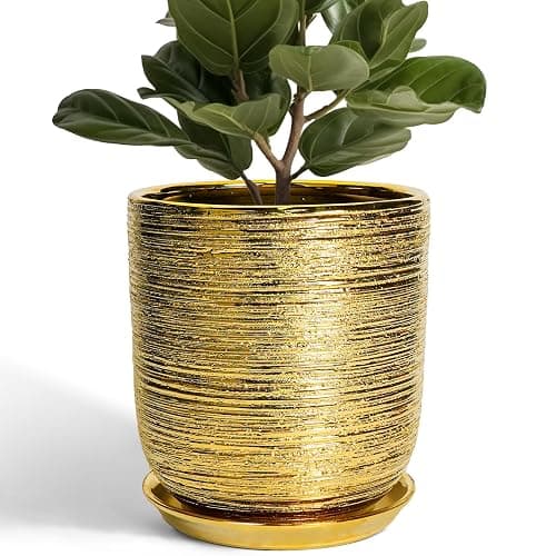 SUNPOTFOR Ceramic Flower Pot for Indoor Plants - 10 Inch Plant Pot with Drainage Hole and Saucer, Decorative Round Outdoor Indoor Planter, Housewarming Gifts, Home Garden Decor, Gold - Image 1