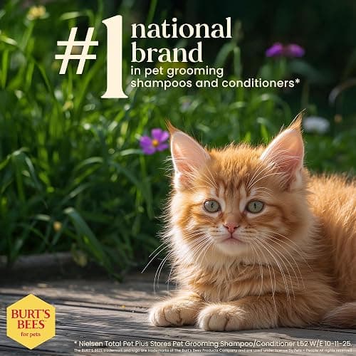 Burt's Bees for Pets Tearless Kitten Shampoo with Buttermilk and Honey, 99% Natural Origin Gentle Cat Shampoo for Sensitive and Itchy Skin, pH Balanced and Fragrance-Free, 10 Fl Oz thumbnail 7