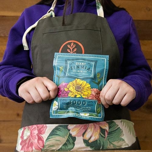 Mountain Valley Seed Co Zinnia Seeds for Planting Outdoors ~3000 California | Giant Mix Zinnia Seeds Beautiful 4' Tall Wildflower Blossoms Zinnia elegans Pollinator Seed Mix Bright, Cheerful Annual Flowe thumbnail 2