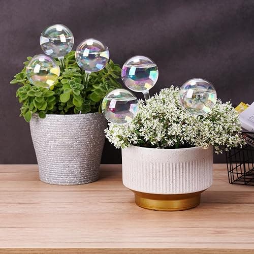 [6 PCS] Light Iridescent Rainbow Gradient Color Clear Glass Self-Watering System Spikes, Automatic Plant Waterer Bulbs thumbnail 5