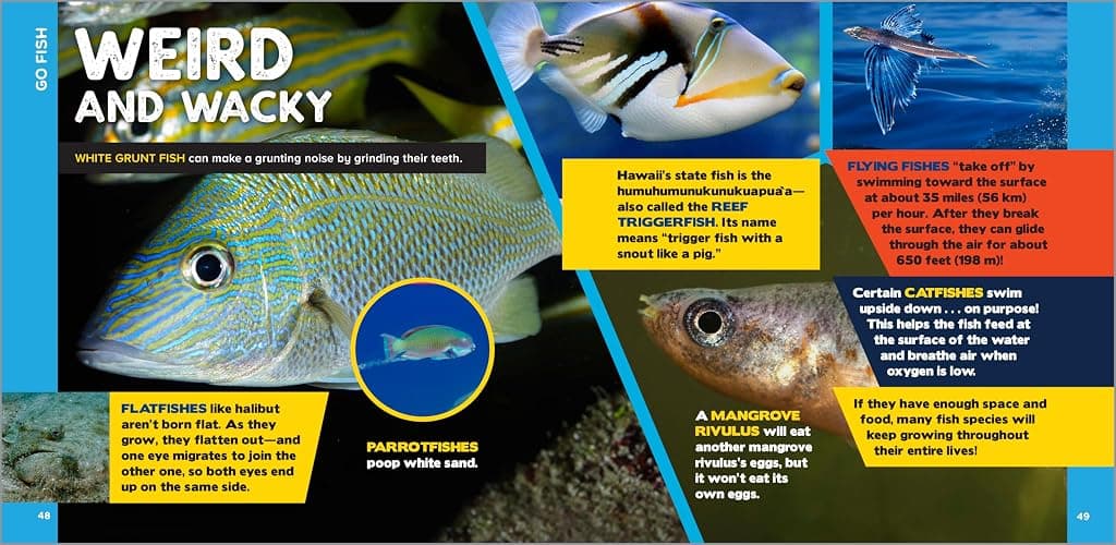 The Fascinating Ocean Book for Kids: 500 Incredible Facts! (Fascinating Facts) thumbnail 2