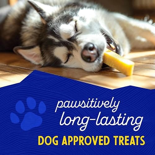 Himalayan Dog Chew Original Yak Cheese Chew, 1 Large Stick, 3.3 oz, Gluten Free, Healthy Treats, Grain & Lactose Free 100% Natural, Long Lasting for Dogs Under 55 lbs thumbnail 4