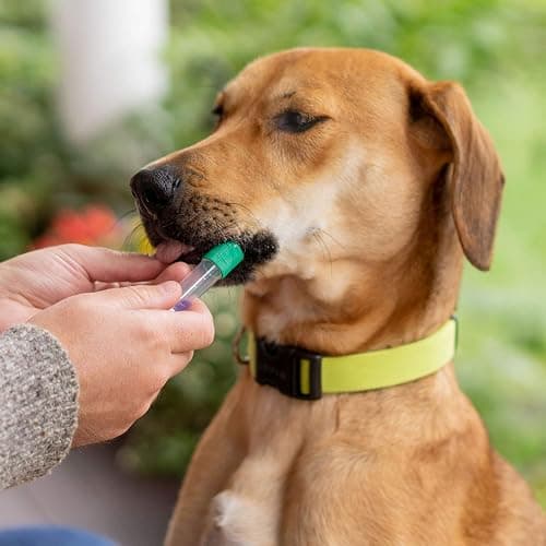Embark Breed & Health Kit (2 Pack) - Dog DNA Test - Discover Breed, Ancestry, Relative Finder, Genetic Health, Traits, COI thumbnail 6