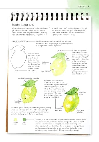 Watercolor Success in Four Steps: 150 Skill-Building Projects to Paint (Design Originals) Beginner-Friendly Step-by-Step Instructions & Techniques to Create Beautiful Paintings as Easy as 1-2-3-4 thumbnail 6