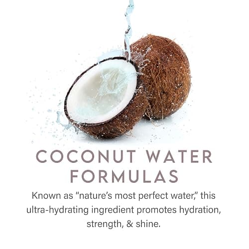 Aluram Coconut Water Daily Conditioner for Men and Women, Clean Hydration and Shine for All Hair Types thumbnail 4