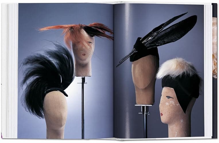 Fashion: A History from the 18th to the 20th Century thumbnail 5