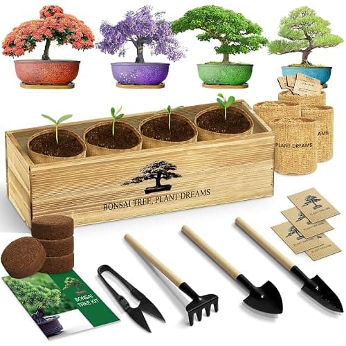 LUOJIBIE Bonsai Tree Kit, Complete Bonzai Tree Starter Kits with Tools, Unique Christmas Birthday DIY Gardening Gifts for Women Mom Men Grandkids, Crafts Hobby Kits, Grow Bonsai Tree Live Indoor - Image 1