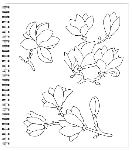 Large Print Easy Color & Frame - Calm (Stress Free Coloring Book) thumbnail 3