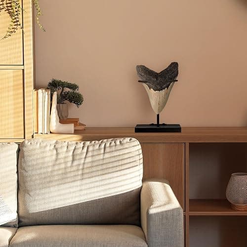 Chunful 2 Pcs Megalodon Shark Tooth Display Stand Metal Shark Tooth Holder Display Easel Holder for Slab Slice Fossil Flat Crystals and Minerals, 4 x 4.5'' (Metal Base) thumbnail 6