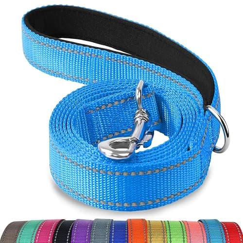 Joytale Dog Leash, 6 FT Double-Sided Reflective, Padded Handle Nylon Heavy Duty Leashes for Medium & Large Dogs Walking, SkyBlue - Image 1
