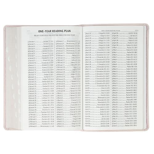 KJV Holy Bible, Giant Print Standard Size Red Letter Edition, Thumb Index Tabs & Ribbon Marker, King James Version, Vegan Leather, Pink, 14 pt. Type thumbnail 8