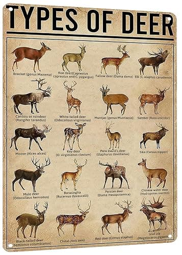 HYBLOM Rustic Types Of Deer Metal Sign, Vintage Farmhouse Wall Art Tin Sign - Hunting Decor & Educational Poster for Home, Man Cave, and Bar 8x12 Inches - Image 1