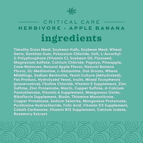 Oxbow Critical Care Herbivore, Emergency Guinea Pig Food, Rabbit Food for Recovery, Natural Apple Banana Flavor, Critical Care for Guinea Pig Emergency Kit, Made in USA, 141 Grams thumbnail 6