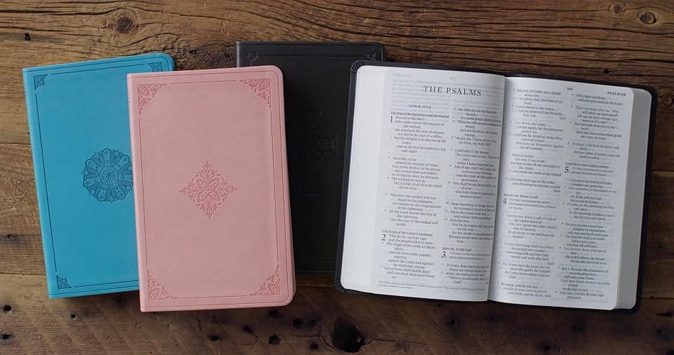 ESV Large Print Value Thinline Bible (TruTone, Pink, Fleur-de-lis Design): Holy Bible, English Standard Version thumbnail 3