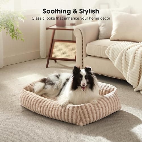 MIXJOY Dog Bed Medium Size Dog, Washable Medium Dogs Bed with Removable Cover, Soft Rectangle Doggy Ded Fluffy Plush Faux Fur Pet Bed with Anti-Slip Bottom, 30"x24"x8", Beige thumbnail 7