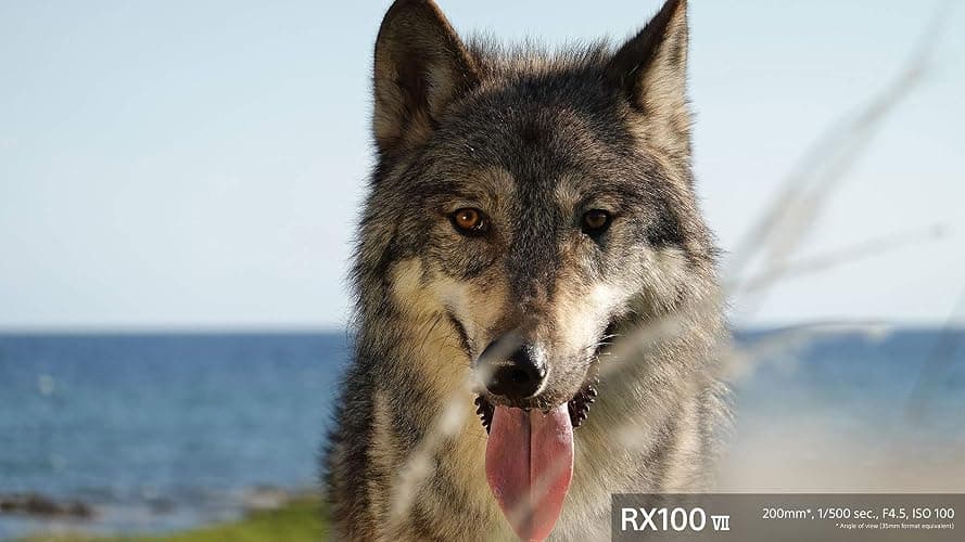 Sony RX100 VII Premium Compact Camera with 1.0-type stacked CMOS sensor (DSCRX100M7) thumbnail 14