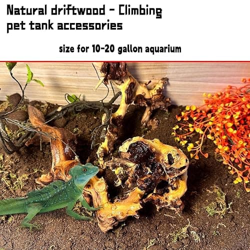 Hamiledyi Aquarium Driftwood 3PCS Natural Trunk Driftwood Assorted Branches 8-12" Reptile Wood Decor Terrarium Ornament Fish Tank Decoration thumbnail 5