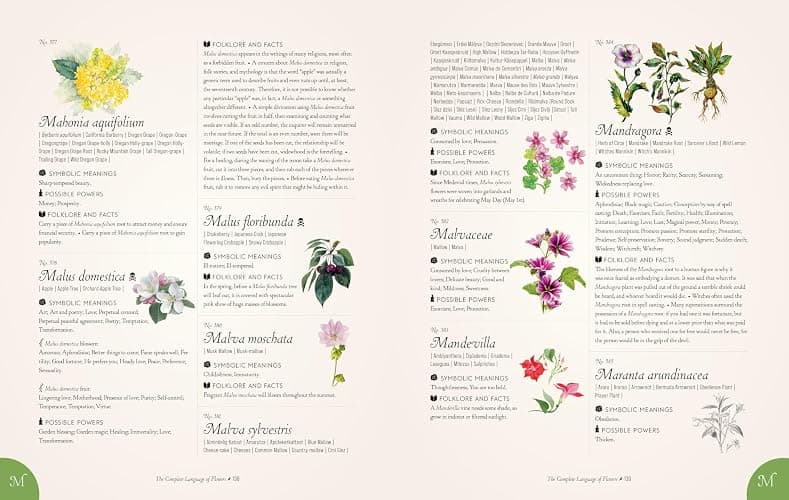 The Complete Language of Flowers: A Definitive and Illustrated History (Volume 3) (Complete Illustrated Encyclopedia, 3) thumbnail 8