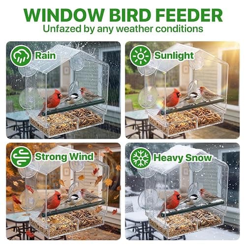 2PCS Window Bird Feeder with Strong Suction Cups, Bird Feeders for Outdoors, Clear Bird Feeder for Window, Outdoor Wild Bird Watching Gift for Women Mom Bird Lovers, Elderly Kids (1 Large+1 Small) thumbnail 7