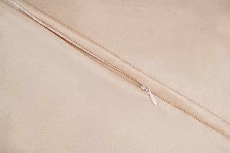 Taie d'oreiller en Soie pour Oreiller 100% Soie 22 Mommes Certifiée Oeko-TEX® Bienfaits Cheveux et Peau Anti Âge, Anti Acarien (40x40cm, Light Champagne) thumbnail 2