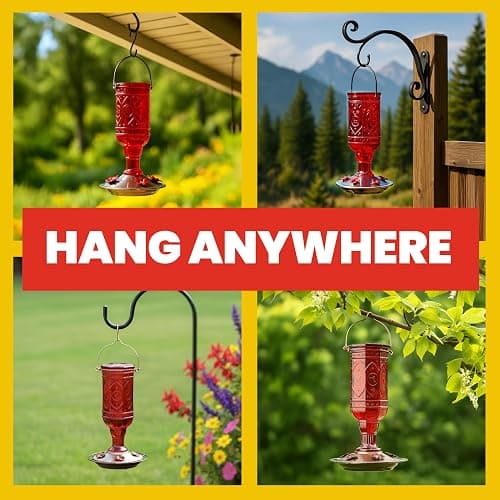 More Birds Red Jewel Hummingbird Feeder, Glass Bottle, 5 Feeding Ports and 20-Ounce Nectar Capacity (76IN) thumbnail 7