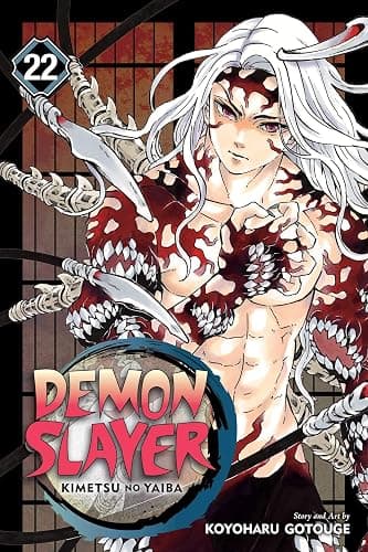 Demon Slayer: Kimetsu no Yaiba, Vol. 22: The Wheel Of Fate - Image 1