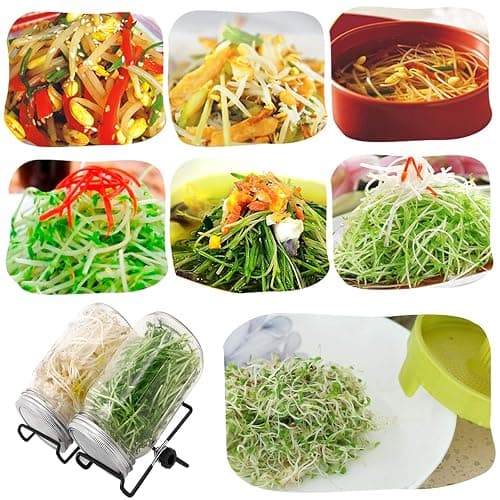 Lulonpon Sprouting Kit, 2 Sprouting Jar Kits, Wide Mouth Quart Mason Jars with Stainless Steel Screen Sprout Lids,1000ml, Stand and Canning Brush,Seed Sprouter Set for Growing Broccoli, Alfalfa thumbnail 7