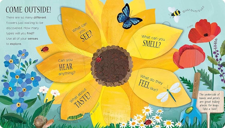 One Little Seed: Exploring Nature for Curious Kids thumbnail 4