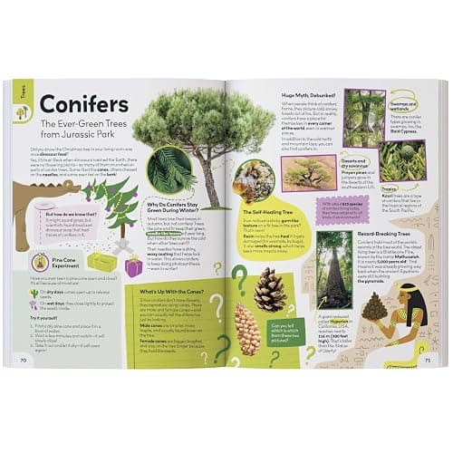 My First Plant Book thumbnail 3