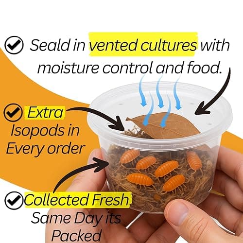 10 Mega Mix Isopods | 8oz Coco Temperate Springtails | Live Arrival Nationwide! thumbnail 3
