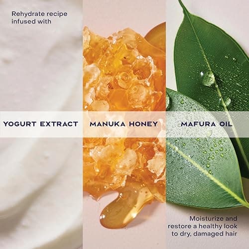 SheaMoisture Hydrate & Repair Condtioner Manuka Honey and Yogurt Conditioner for Damaged Hair Shea Butter Conditioner 13 oz thumbnail 7