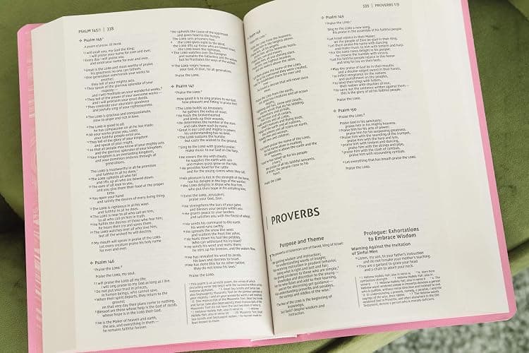 NIV, Gift and Award Bible, Leather-Look, Pink, Red Letter, Comfort Print thumbnail 5