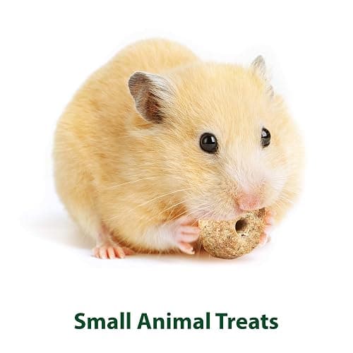 Kaytee Timothy Biscuits Baked Treat for Pet Guinea Pigs, Rabbits & Other Small Animals, Carrot, 4 oz (Pack of 2) thumbnail 4