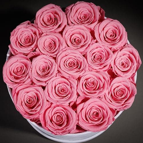 Prifroti 17 Flowers in a Luxury Suede Box, Birthday Gifts for Women, Preserved Flowers, Mothers Day Roses Gift for Mom, Light Pink thumbnail 5