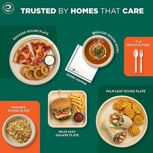ECO SOUL Compostable Paper Plates 10 Inch, 100 Pack – Heavy Duty Disposable Paper Plates, Biodegradable Sugarcane Bagasse, Durable & Microwave Safe, Unbleached Round Dinner Plates for Party, Picnic thumbnail 9