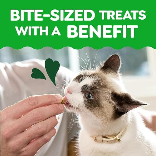 Greenies Feline Smartbites Healthy Kitten Treats for Indoor Kittens, Crunchy and Soft Natural Cat Treats, Chicken Flavor, 16 oz. Tub thumbnail 6
