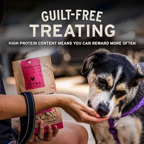 Vital Essentials Single Ingredient Beef Liver Dog Treats, 2.1 oz | Freeze-Dried Raw | Healthy, All Natural Training Treats | Grain Free, Gluten Free, Filler Free thumbnail 6