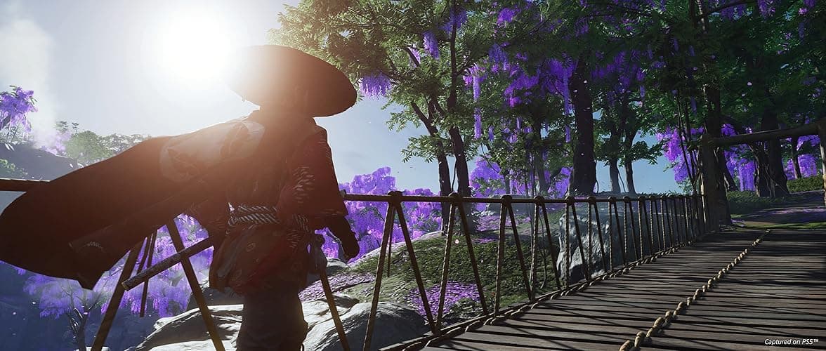 Ghost of Tsushima Director's Cut thumbnail 6