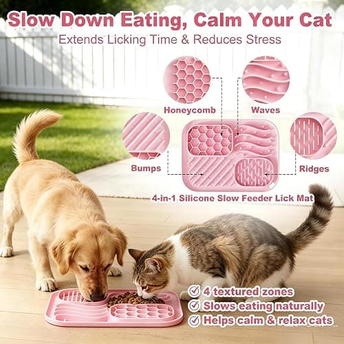 AZY 3-Piece Slow Feeder Cat Bowl Set with Strong Suction Cups | Silicone Lick Mat & Treat Spoon for Wet & Dry Food, Cat Enrichment thumbnail 5