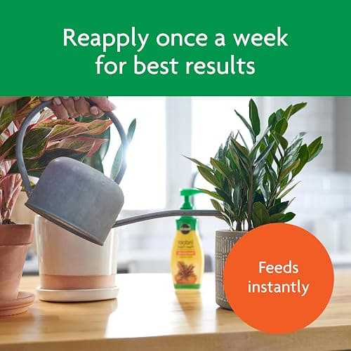 Miracle-Gro Indoor Plant Food, Liquid Plant Food for Houseplants, Snake Plants, Peace Lilies, Flowers, Vegetables, Herbs and More, 8 oz., 2-Pack thumbnail 6
